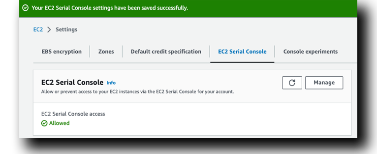 AWS EC2 Allow Serial