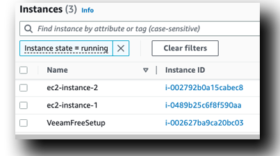 AWS Instances & Veeam