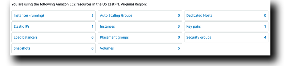 AWS EC2 Instances