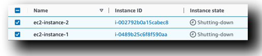 Veeam EC2 Instances Shutting Down