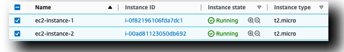 Veeam EC2 Instances