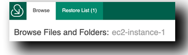 Veeam EC2 FLR Restore List