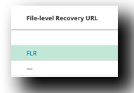 Veeam EC2 File Restore URL