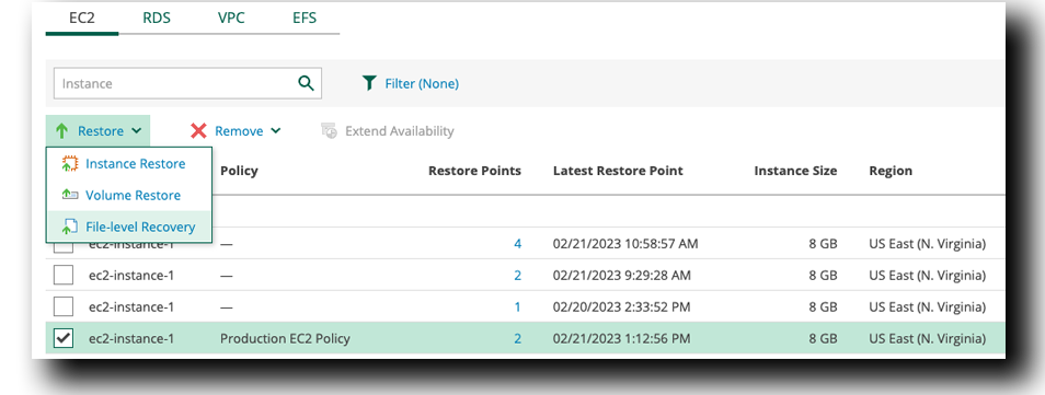 Veeam EC2 File Restore